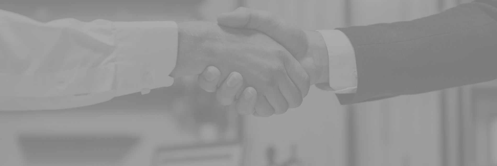 Professional Domains Banner