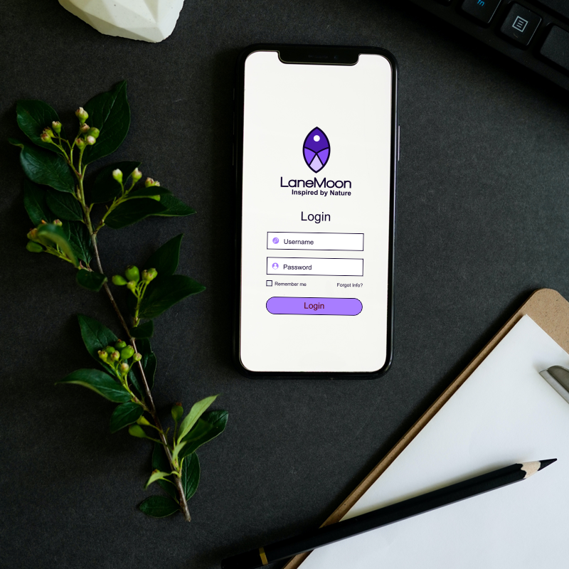LaneMoon.com marketing example image.