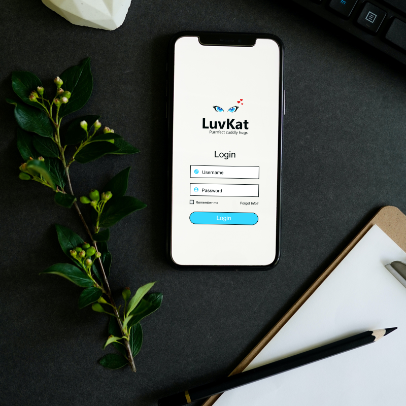 LuvKat.com marketing example image.