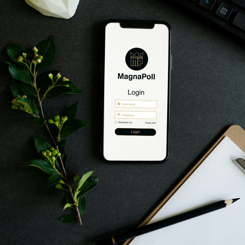 MagnaPoll.com marketing example image.